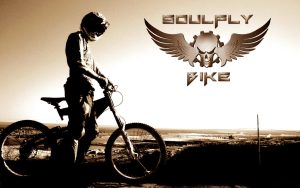 Soulfly Bike