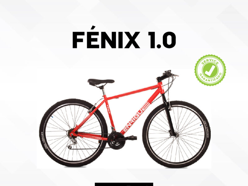 Bicicleta Fénix 1.0 R26