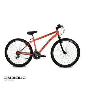 Bicicleta Enrique Vértigo R29